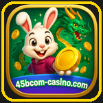 45b .com